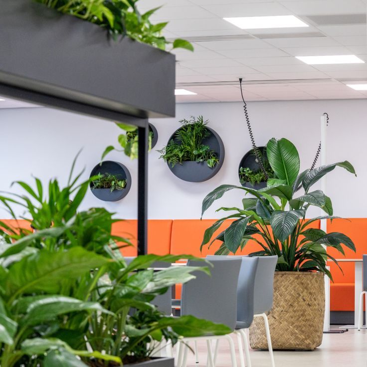 Biophilic Design Kinderkamer - sfeervolle kinderkamer 14