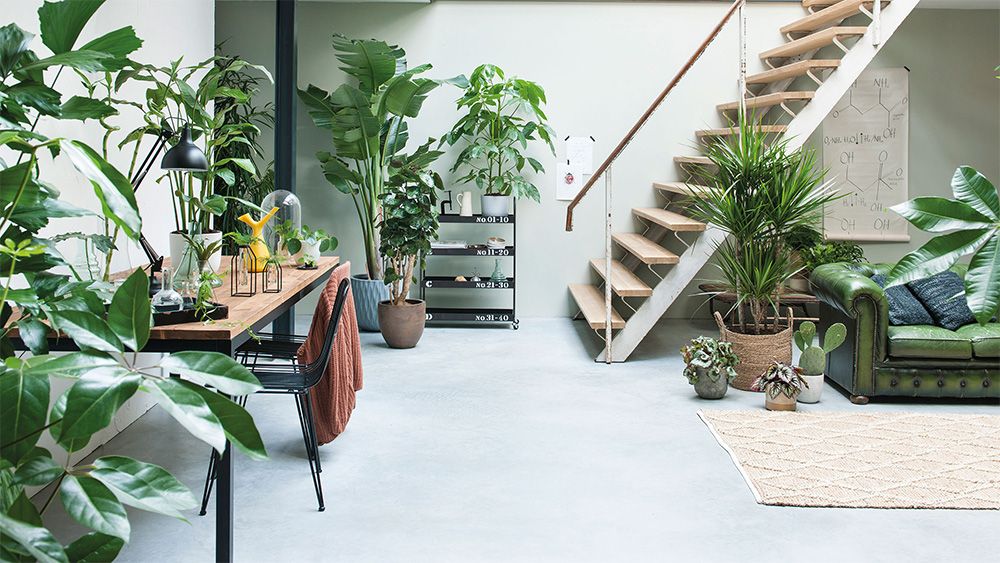Biophilic Design Woonkamer - sfeervolle woonkamer 3