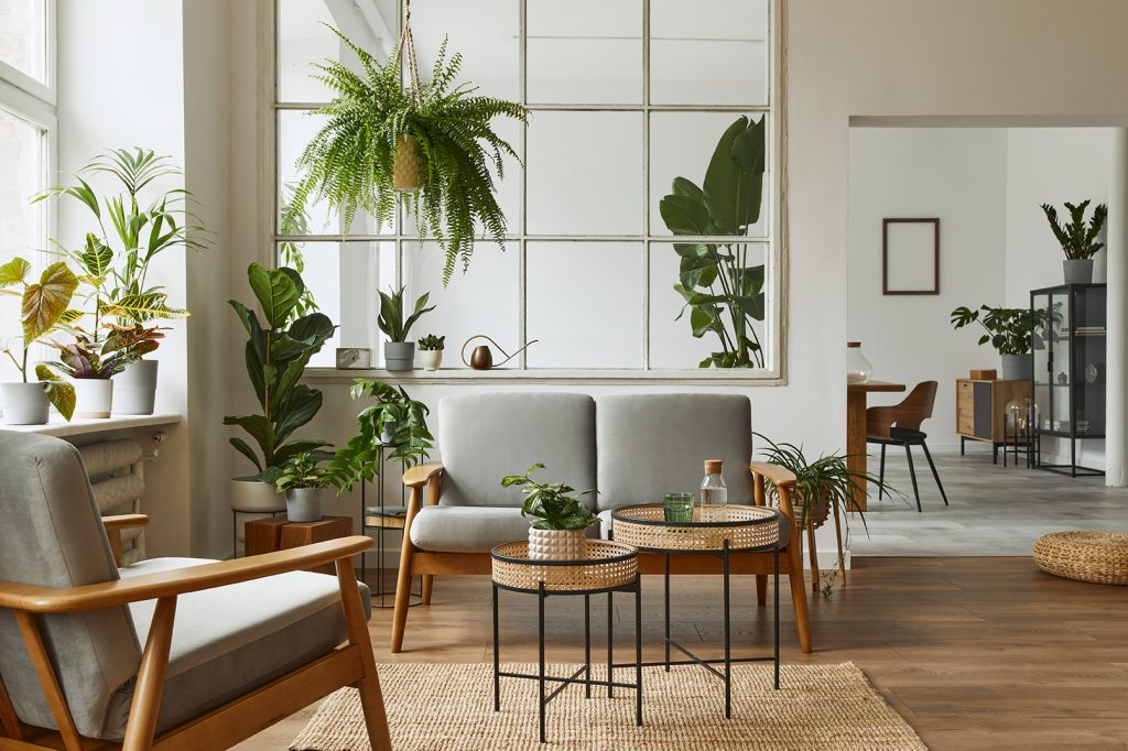 Botanisch Interieur Hal - sfeervolle hal 4