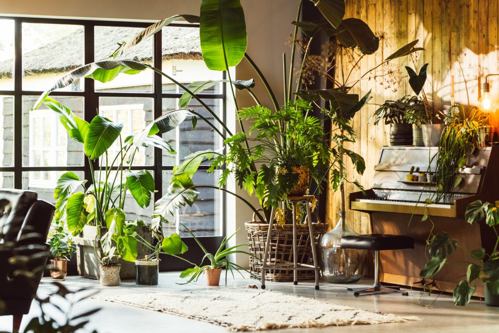 Botanisch Interieur Hal - sfeervolle hal 5