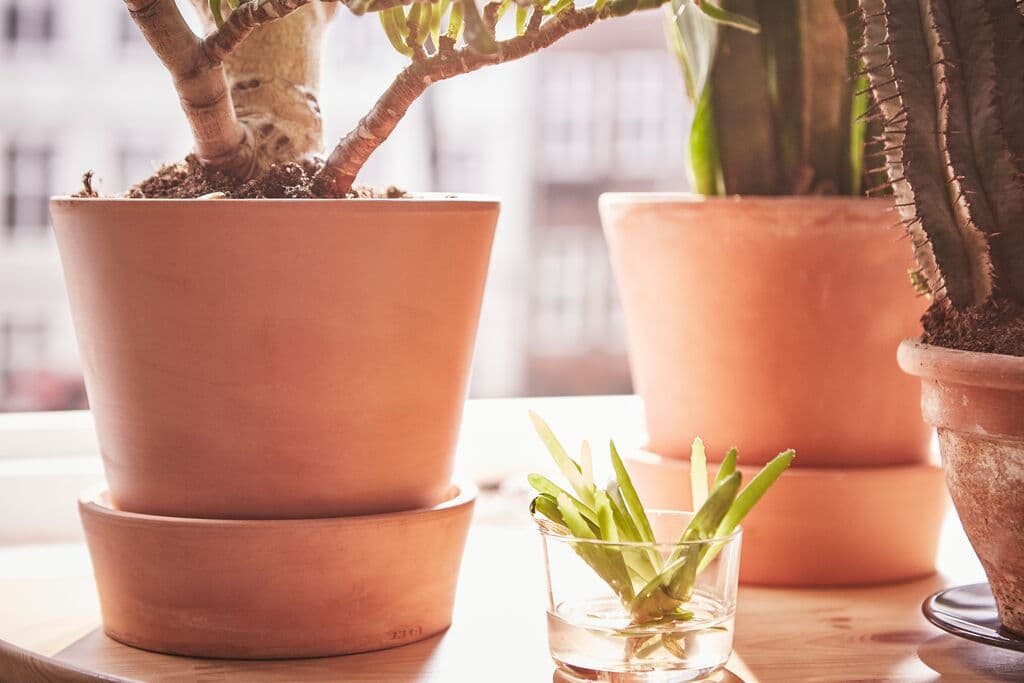 Terracotta Bloempot Groot 30cm